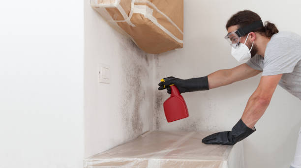 Professional Mold Testing technician working in Helmetta, NJ