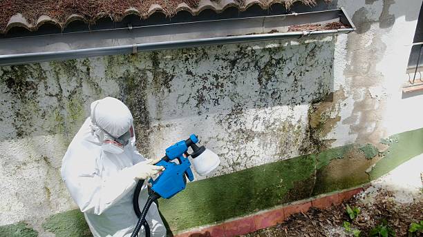 Trusted Mold Inspection service in Helmetta, NJ - Cheap Mold Removal